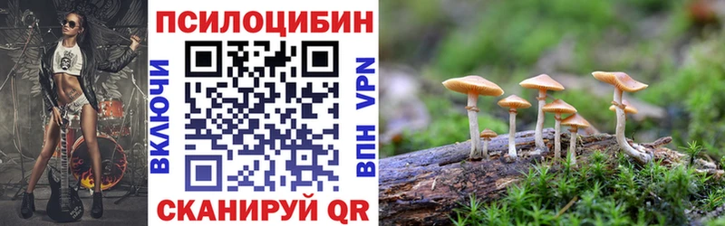 Купить  Зеленогорск  Галлюциногенные грибы MAGIC MUSHROOMS 